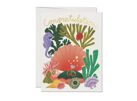 CLAM SHELL CONGRATS CARD