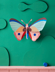 CATTLEHEART BUTTERFLY-BIG INSECTS