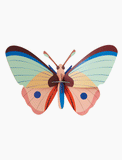 CATTLEHEART BUTTERFLY-BIG INSECTS