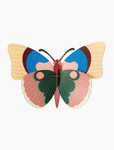 CEPORA BUTTERFLY-BIG INSECTS
