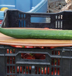 CUCUMBER TASTY GREEN