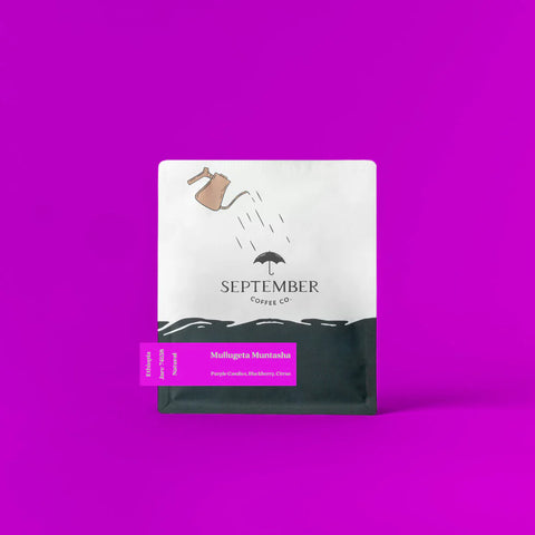 SEPTEMBER-MULLUGETA MUNTASHA ETHIOPIA