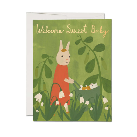 SWEET BUNNY