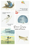PRAIRIE SEASONS/ANTYMNIUK