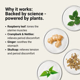 RASPBERRY RELIEF TEA