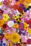 SCATTER CAN ENDLESS BOUQUETS