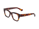 MIKLOS READERS-TURTLE