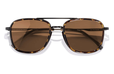 ESTERO-TORTOISE AMBER