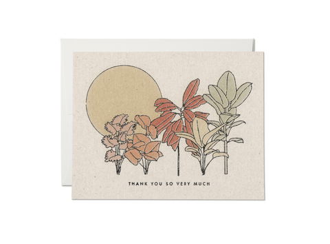 DESERT PLANTS THANK YOU CARD