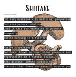 SHIITAKE DARK LAGER