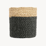 PLANT BASKET