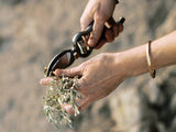 PRUNER & SHEATH