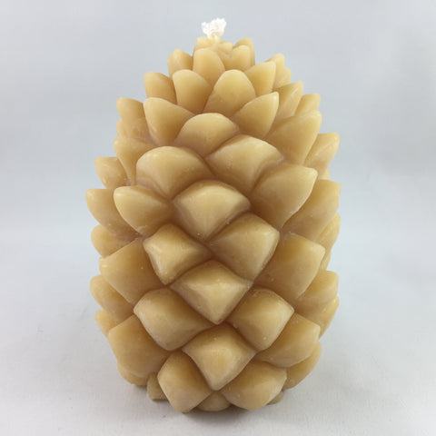 BEESWAX PINECONE