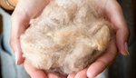 HERITAGE ORGANIC WOOL DUVET