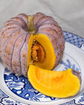 SQUASH FUTTSU BLACK EARLY