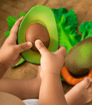 ARNOLD THE AVOCADO TEETHER