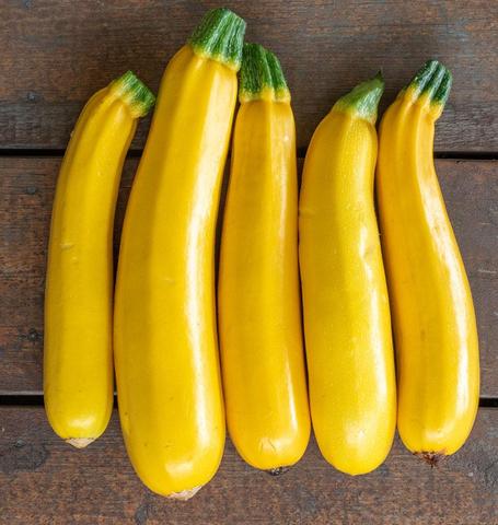 SQUASH ZUCCHINI GOLDY