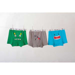 ORGANIC CHILDRENS BOXER BRIEFS