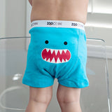 ORGANIC CHILDRENS BOXER BRIEFS