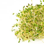 MUMM'S SPROUTING SEEDS- SANDWICH BOOSTER