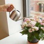 KIKKERLAND WATERING CAN