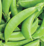 SNAP PEAS SUGAR ANN